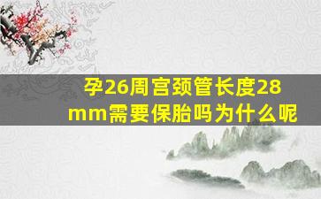 孕26周宫颈管长度28mm需要保胎吗为什么呢