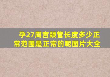 孕27周宫颈管长度多少正常范围是正常的呢图片大全