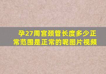 孕27周宫颈管长度多少正常范围是正常的呢图片视频