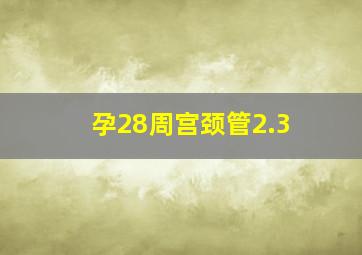 孕28周宫颈管2.3