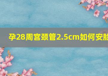 孕28周宫颈管2.5cm如何安胎