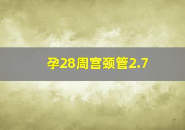 孕28周宫颈管2.7