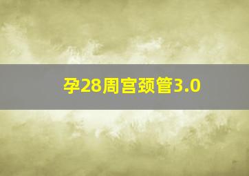 孕28周宫颈管3.0