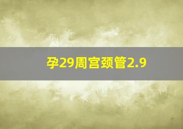 孕29周宫颈管2.9