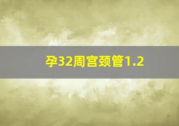 孕32周宫颈管1.2