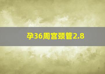 孕36周宫颈管2.8