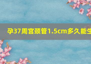 孕37周宫颈管1.5cm多久能生