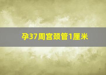 孕37周宫颈管1厘米