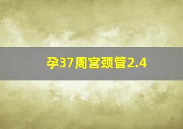 孕37周宫颈管2.4