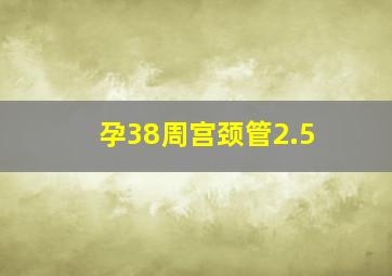 孕38周宫颈管2.5