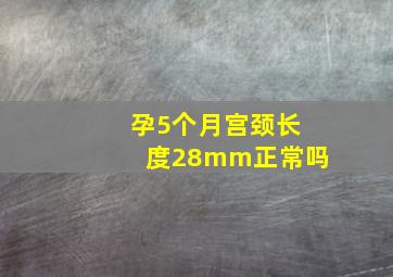 孕5个月宫颈长度28mm正常吗