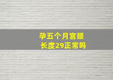 孕五个月宫颈长度29正常吗