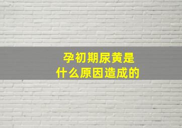 孕初期尿黄是什么原因造成的