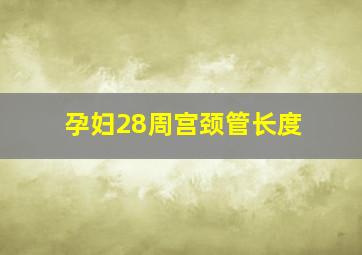 孕妇28周宫颈管长度