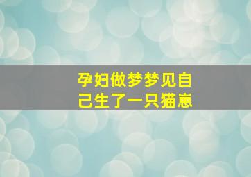 孕妇做梦梦见自己生了一只猫崽