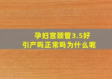 孕妇宫颈管3.5好引产吗正常吗为什么呢