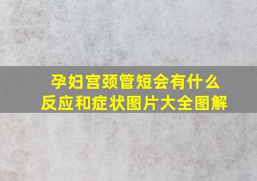 孕妇宫颈管短会有什么反应和症状图片大全图解