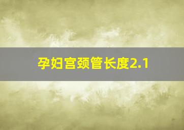 孕妇宫颈管长度2.1