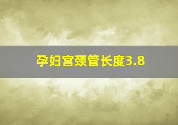 孕妇宫颈管长度3.8