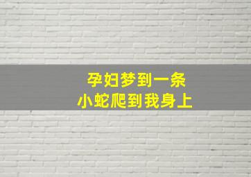 孕妇梦到一条小蛇爬到我身上