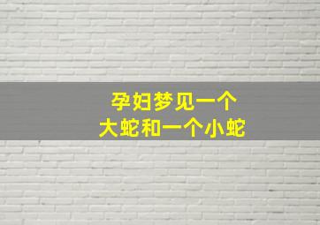 孕妇梦见一个大蛇和一个小蛇