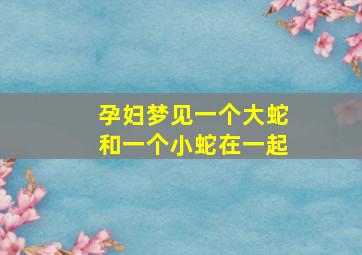 孕妇梦见一个大蛇和一个小蛇在一起