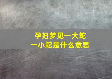 孕妇梦见一大蛇一小蛇是什么意思