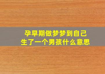 孕早期做梦梦到自己生了一个男孩什么意思