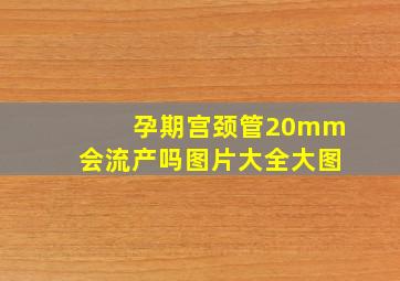 孕期宫颈管20mm会流产吗图片大全大图