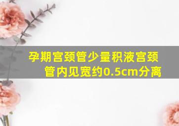 孕期宫颈管少量积液宫颈管内见宽约0.5cm分离