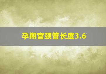 孕期宫颈管长度3.6