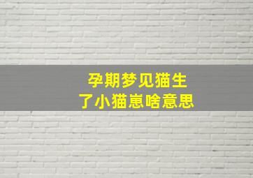 孕期梦见猫生了小猫崽啥意思