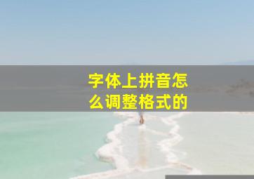 字体上拼音怎么调整格式的