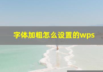 字体加粗怎么设置的wps