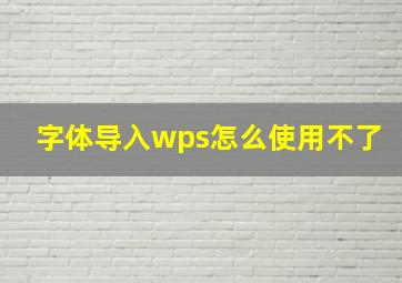 字体导入wps怎么使用不了