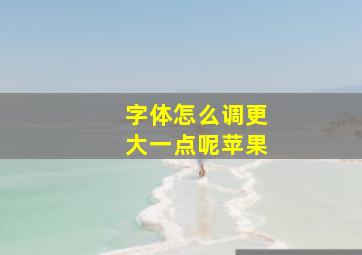 字体怎么调更大一点呢苹果