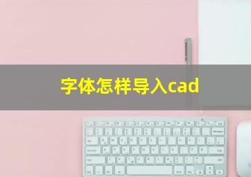 字体怎样导入cad