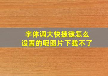 字体调大快捷键怎么设置的呢图片下载不了