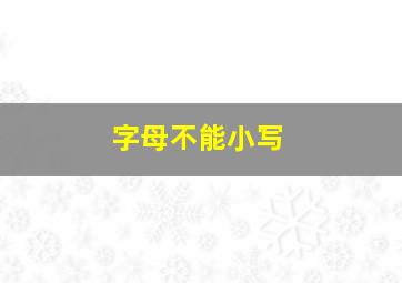 字母不能小写