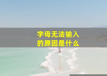 字母无法输入的原因是什么