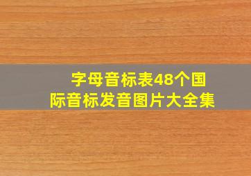 字母音标表48个国际音标发音图片大全集