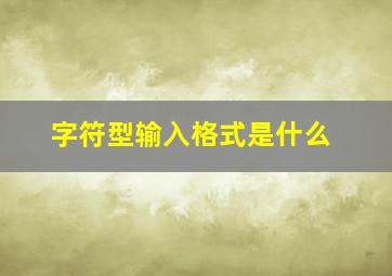 字符型输入格式是什么