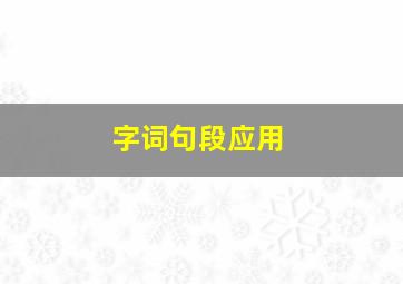 字词句段应用