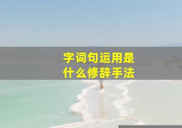 字词句运用是什么修辞手法