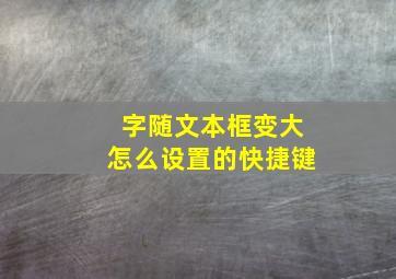 字随文本框变大怎么设置的快捷键