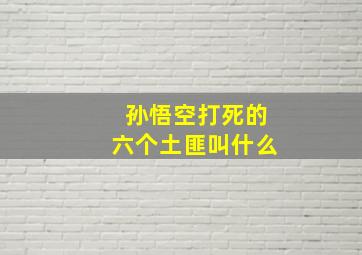 孙悟空打死的六个土匪叫什么