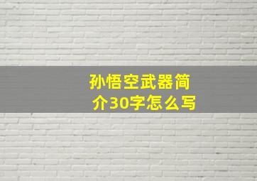 孙悟空武器简介30字怎么写