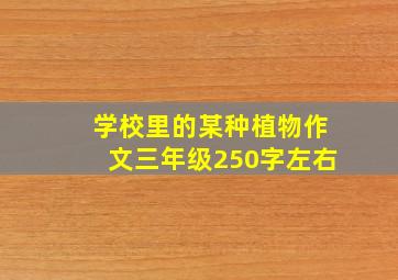 学校里的某种植物作文三年级250字左右