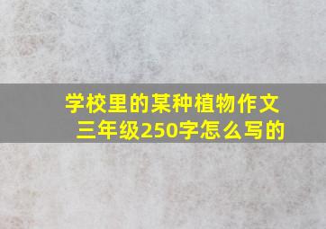 学校里的某种植物作文三年级250字怎么写的