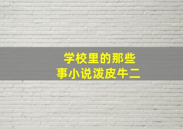 学校里的那些事小说泼皮牛二